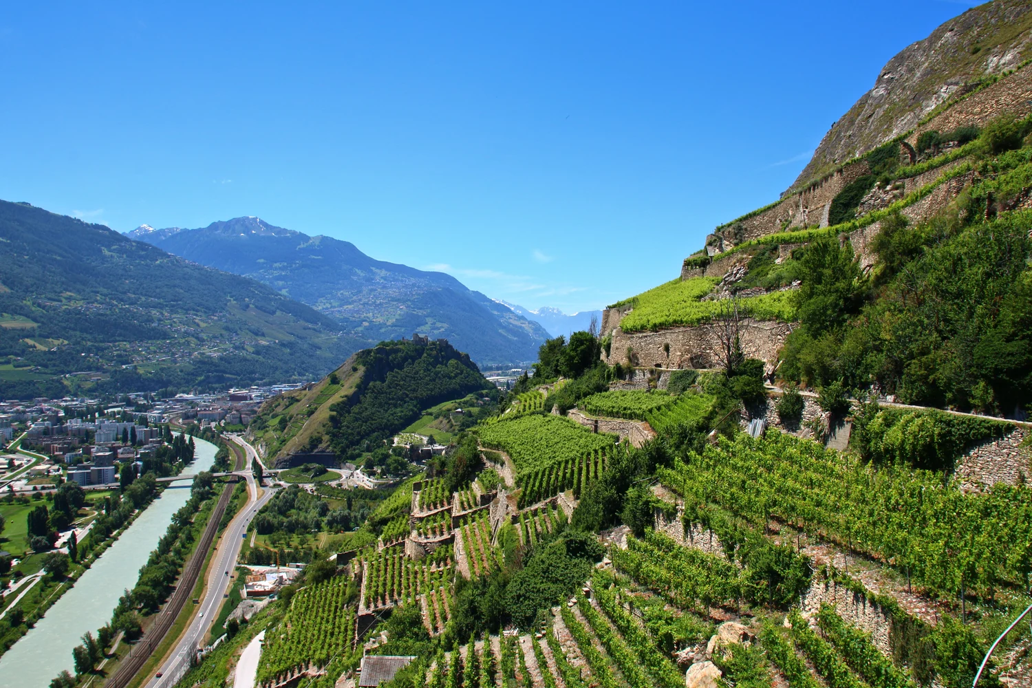 Les vignes de Clavau au-dessus de Sion et de la vallée du Rhône